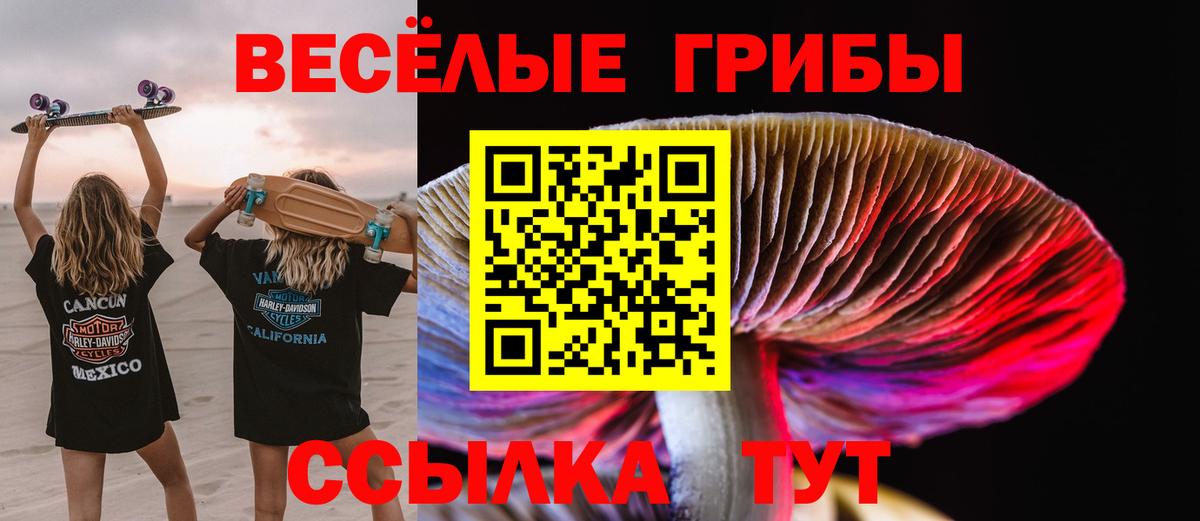 Псилоцибиновые грибы мухоморы Видное